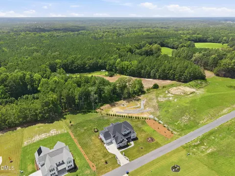 View/Area - 3621 Bailey Mdws Dr, Wake Forest, NC 27587 photo 6 of 9