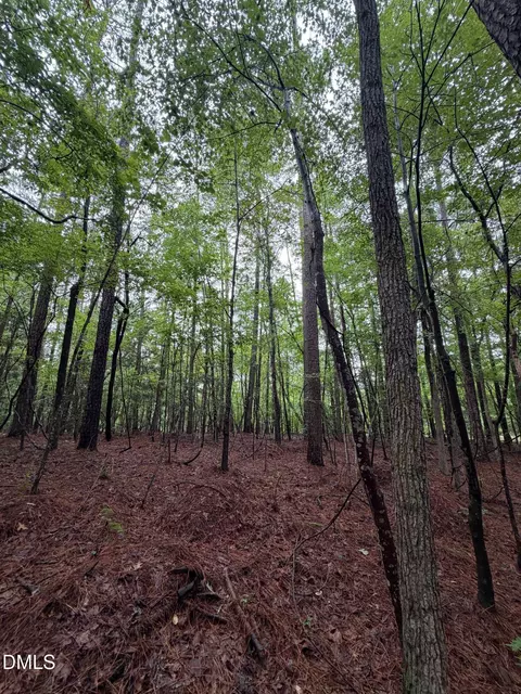 lot5 Claude Lewis Rd, Middlesex, NC 27557 photo 13