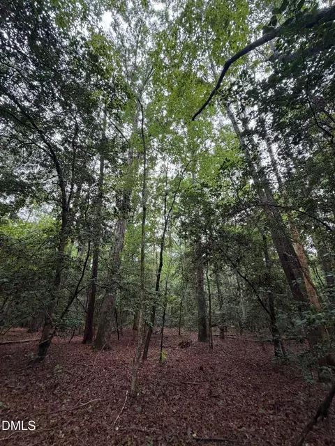 lot5 Claude Lewis Rd, Middlesex, NC 27557 photo 9