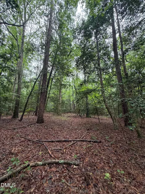 lot5 Claude Lewis Rd, Middlesex, NC 27557 photo 12