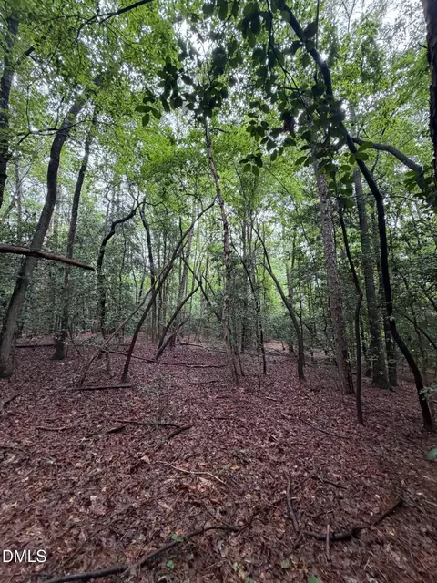 lot5 Claude Lewis Rd, Middlesex, NC 27557 photo 8