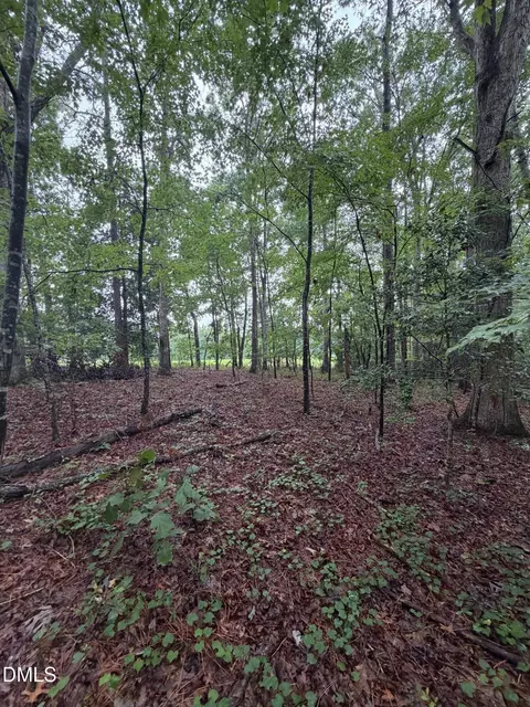 lot5 Claude Lewis Rd, Middlesex, NC 27557 photo 6