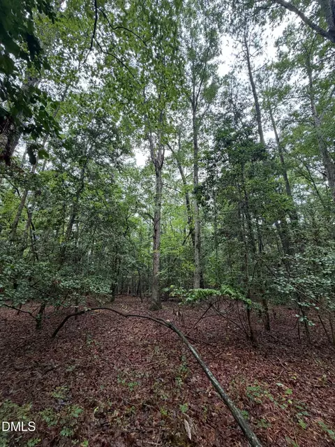 lot5 Claude Lewis Rd, Middlesex, NC 27557 photo 10