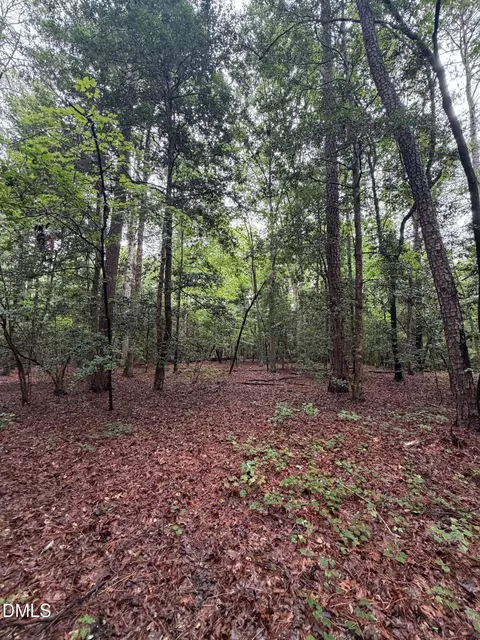 lot5 Claude Lewis Rd, Middlesex, NC 27557 photo 11
