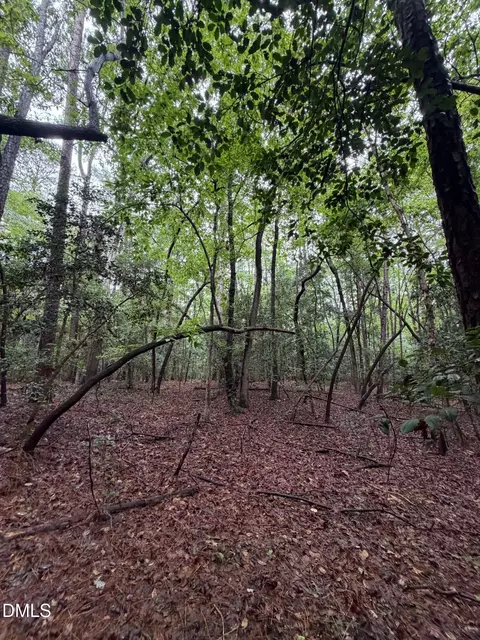 lot5 Claude Lewis Rd, Middlesex, NC 27557 photo 7