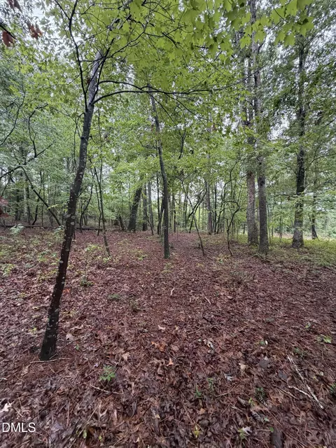 lot5 Claude Lewis Rd, Middlesex, NC 27557 photo 3