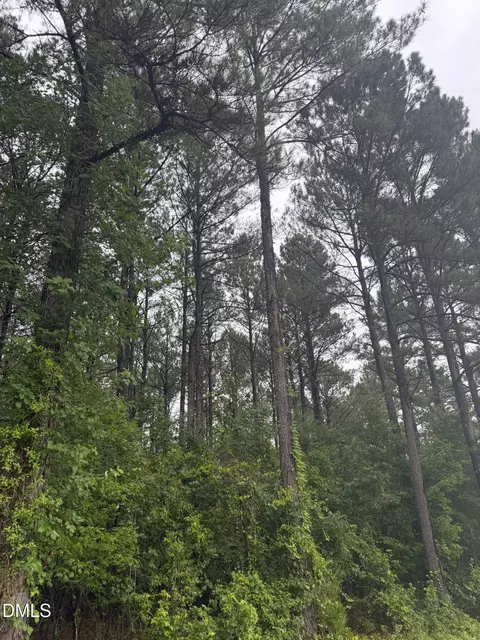 lot4 Claude Lewis Rd, Middlesex, NC 27557 photo 6