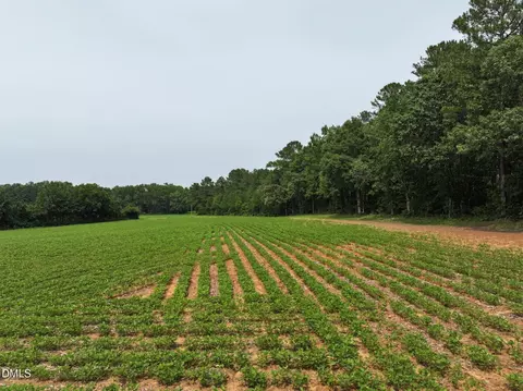 lot4 Claude Lewis Rd, Middlesex, NC 27557 photo 11
