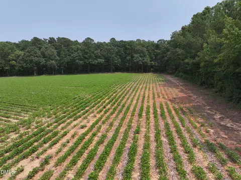 lot4 Claude Lewis Rd, Middlesex, NC 27557 photo 10
