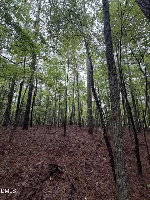 lot4 Claude Lewis Rd, Middlesex, NC 27557 photo 12