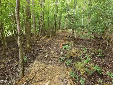 618 Bowen Rd, Rougemont, NC 27572 photo 6