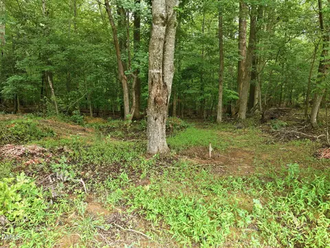 618 Bowen Rd, Rougemont, NC 27572 photo 10