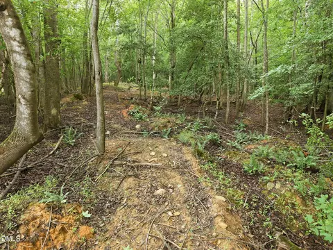 618 Bowen Rd, Rougemont, NC 27572 photo 11