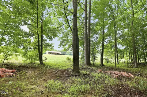 618 Bowen Rd, Rougemont, NC 27572 photo 5