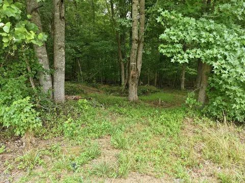 618 Bowen Rd, Rougemont, NC 27572 photo 9