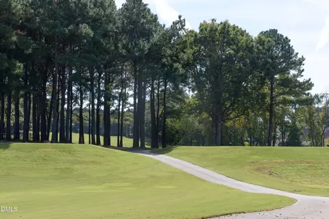 Other - 419 Grove Overlook Ln #200, Wake Forest, NC 27587 photo 13 of 14