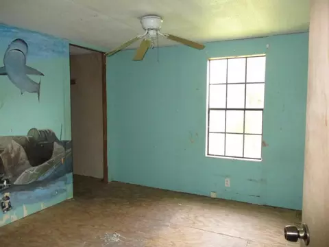 4663 Peaceful, Trinity, NC 27370 photo 6
