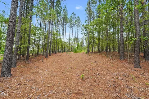 116 Windsail Pt, Semora, NC 27343 photo 7