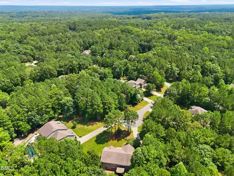 View/Area - 9505 Alydar Dr, Wake Forest, NC 27587 photo 2 of 2