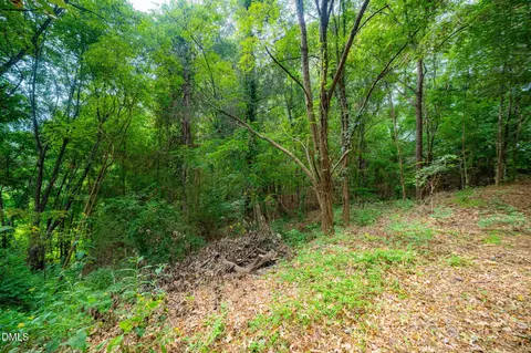 105 Wright Hill Dr, Durham, NC 27712 photo 12