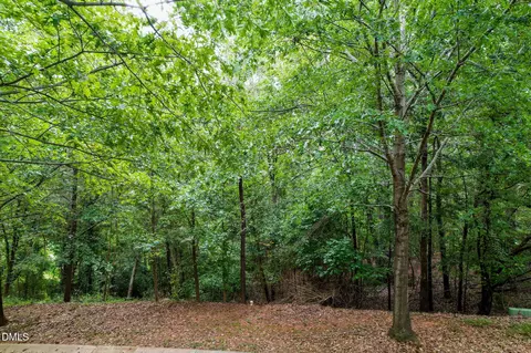 105 Wright Hill Dr, Durham, NC 27712 photo 11