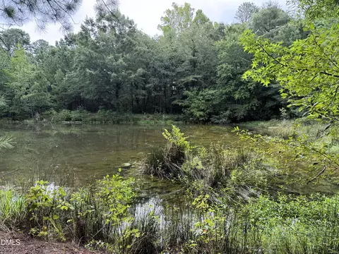 1755 Bunnlevel Erwin Rd, Bunnlevel, NC 28323 photo 11