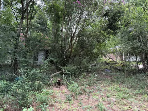 1755 Bunnlevel Erwin Rd, Bunnlevel, NC 28323 photo 9