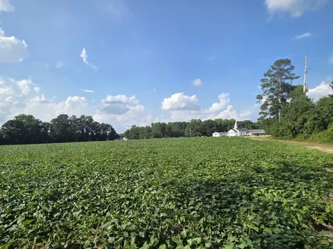 0 Eldridge Rd, Newton Grove, NC 28366