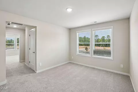 Other - 141 Gilded Eagle Ave, Clayton, NC 27520 photo 8 of 13