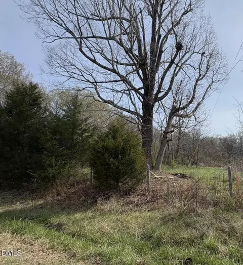 0 Winfred Brady Rd, Bennett, NC 27208 photo 2
