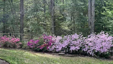 Exterior - 6604 Willow Chase Dr, Willow Spring, NC 27592 photo 26 of 29