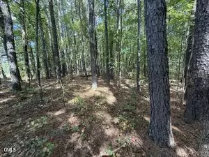 1 Massengill Pond Rd, Angier, NC 27501