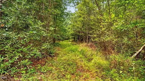 0 Blacks Rd, Macon, NC 27551 photo 10