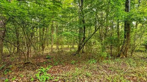 0 Blacks Rd, Macon, NC 27551 photo 16