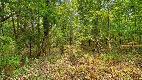 0 Blacks Rd, Macon, NC 27551 photo 6