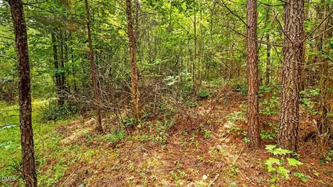0 Blacks Rd, Macon, NC 27551 photo 11