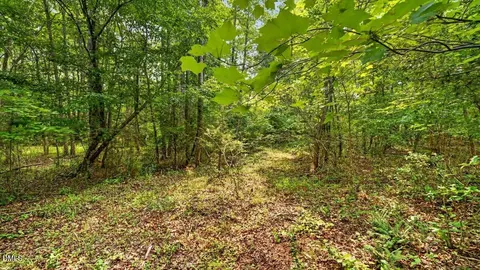0 Blacks Rd, Macon, NC 27551 photo 8