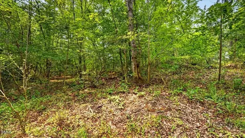 0 Blacks Rd, Macon, NC 27551 photo 5