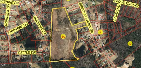 0 Bruce Coggins Rd, Sanford, NC 27332