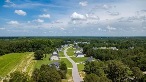 View/Area - 1608 Osprey Ridge Dr, Willow Spring, NC 27592 photo 5 of 9