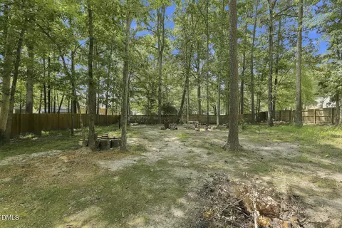 14 Springmoor Dr, Angier, NC 27501 photo 31