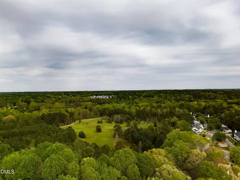 View/Area - 956 E Durness Ct, Wake Forest, NC 27587 photo 6 of 6