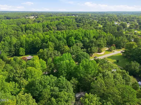 View/Area - 13816 Labaron Dr, Willow Spring, NC 27592 photo 1 of 2