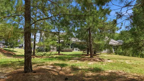 Exterior - 1316 Copper Trace Ct, Wake Forest, NC 27587 photo 9 of 13