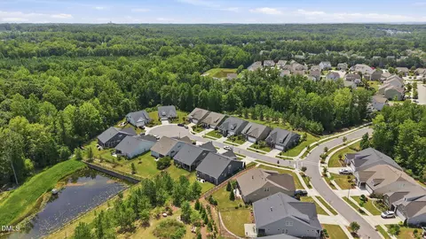 View/Area - 1316 Copper Trace Ct, Wake Forest, NC 27587 photo 4 of 6