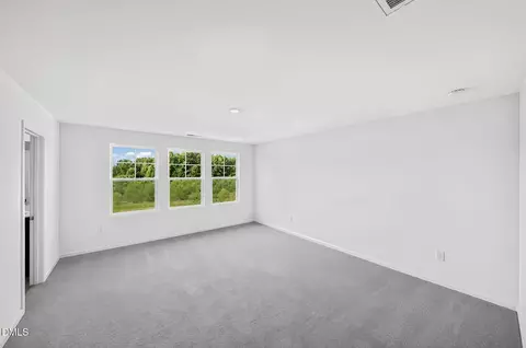 Other - 1232 Blue Dasher Ln, Rolesville, NC 27587 photo 3 of 8
