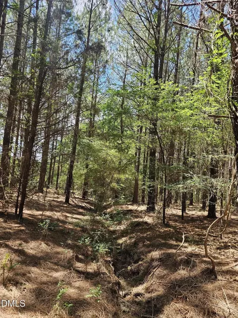 850 Clarence Phillips Rd, Bennett, NC 27208 photo 3