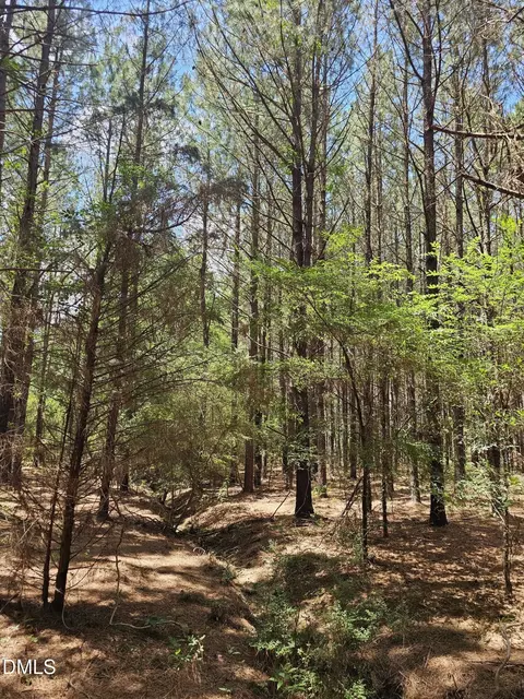 850 Clarence Phillips Rd, Bennett, NC 27208 photo 5
