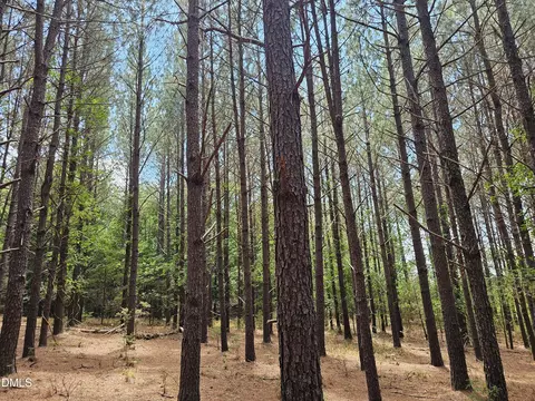 850 Clarence Phillips Rd, Bennett, NC 27208 photo 4