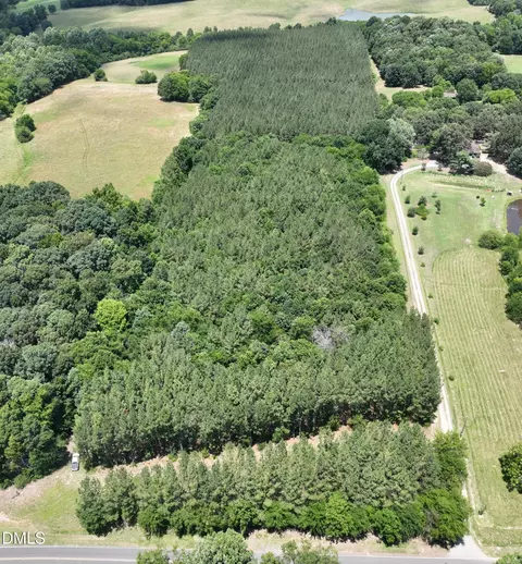 850 Clarence Phillips Rd, Bennett, NC 27208 photo 7